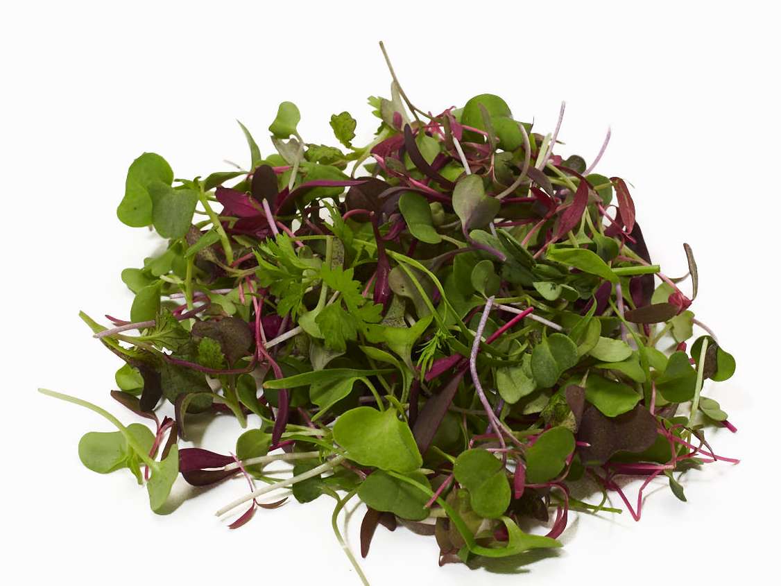 Intensity Microgreen Mix