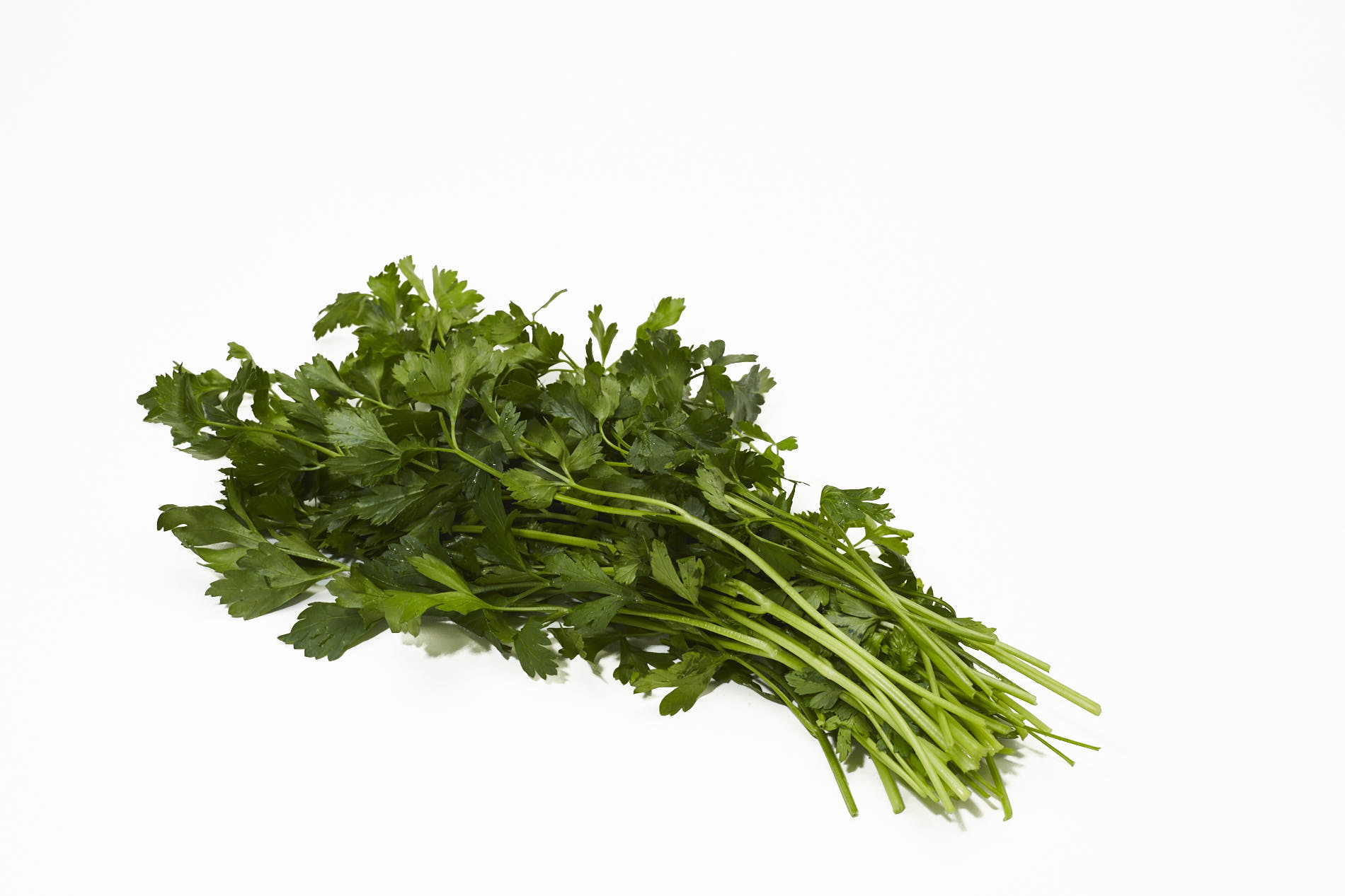 Fresh Italian Flat Leaf Parsley