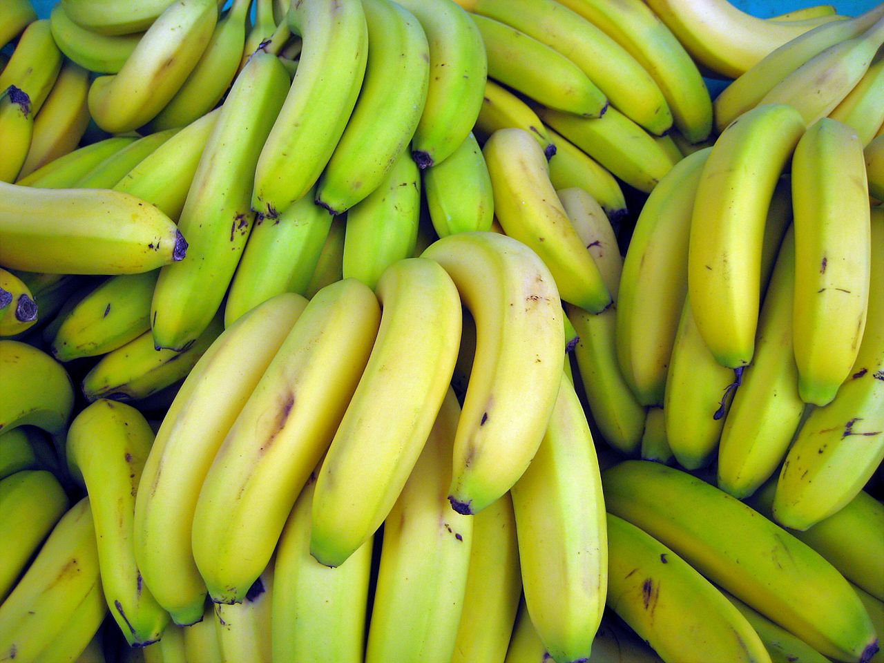 Green Tip Banana