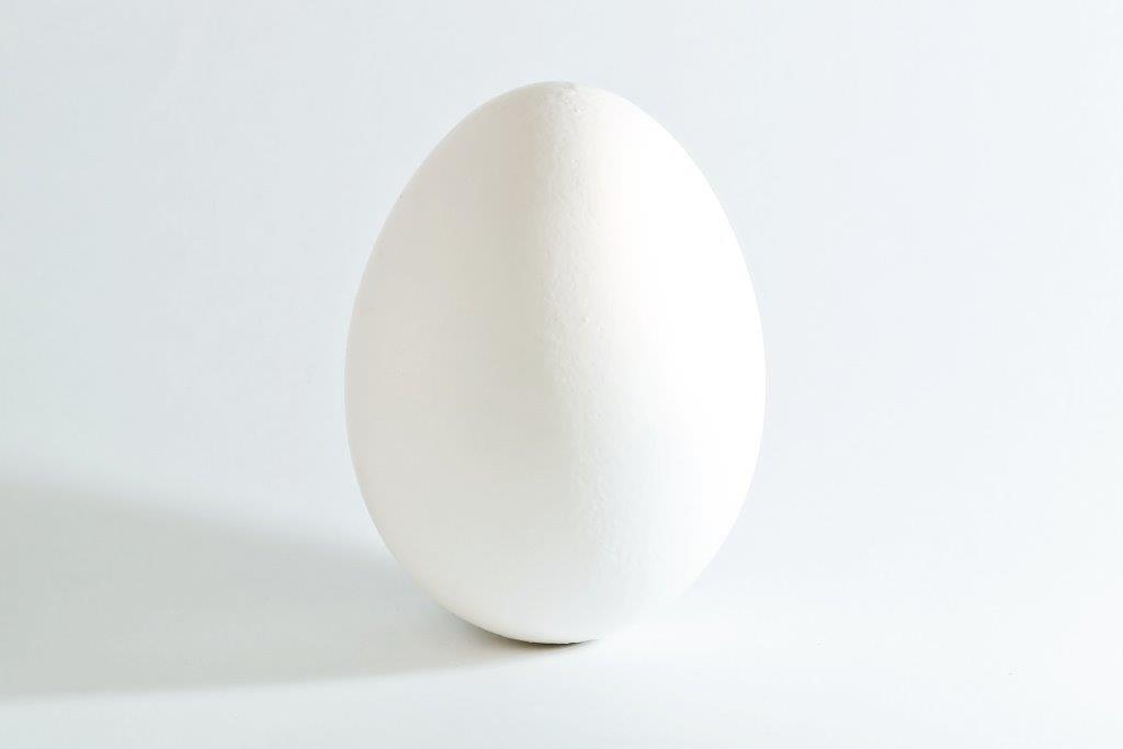 Large Local Eggs