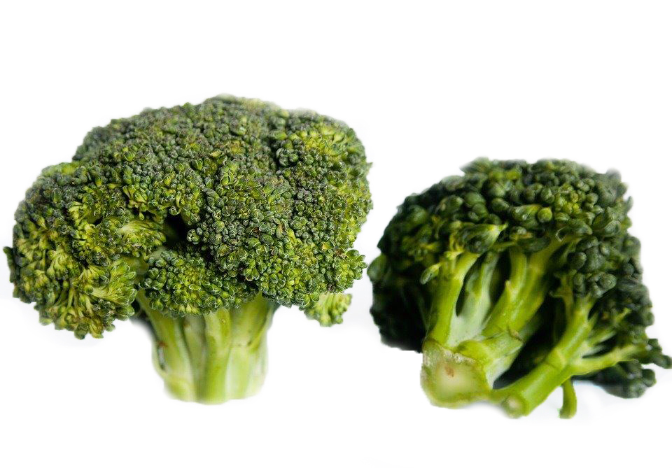 Broccoli florettes