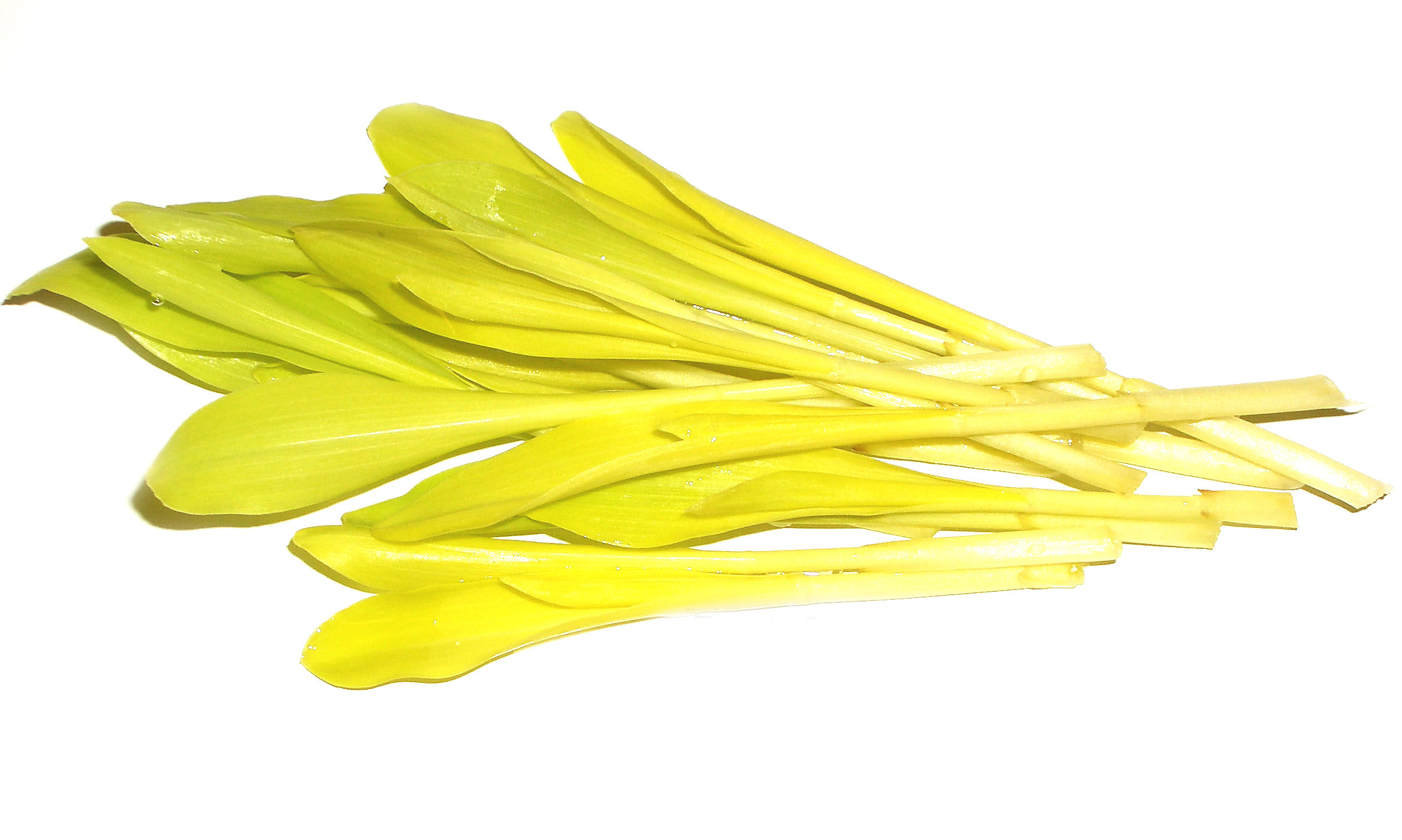 Popcorn Shoots
