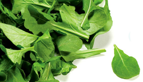 Baby Arugula