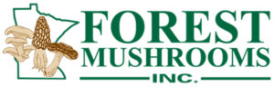 Forest Mushroom Logo