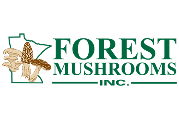 Forest Mushroom Logo