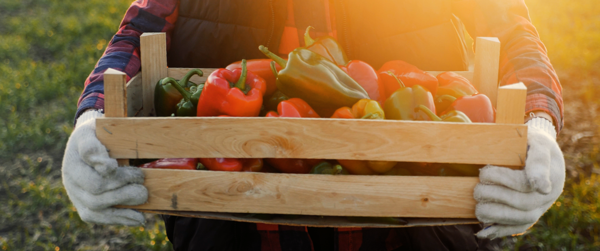 Delivering Fresh Produce Since 1930 - BIX Produce Co.