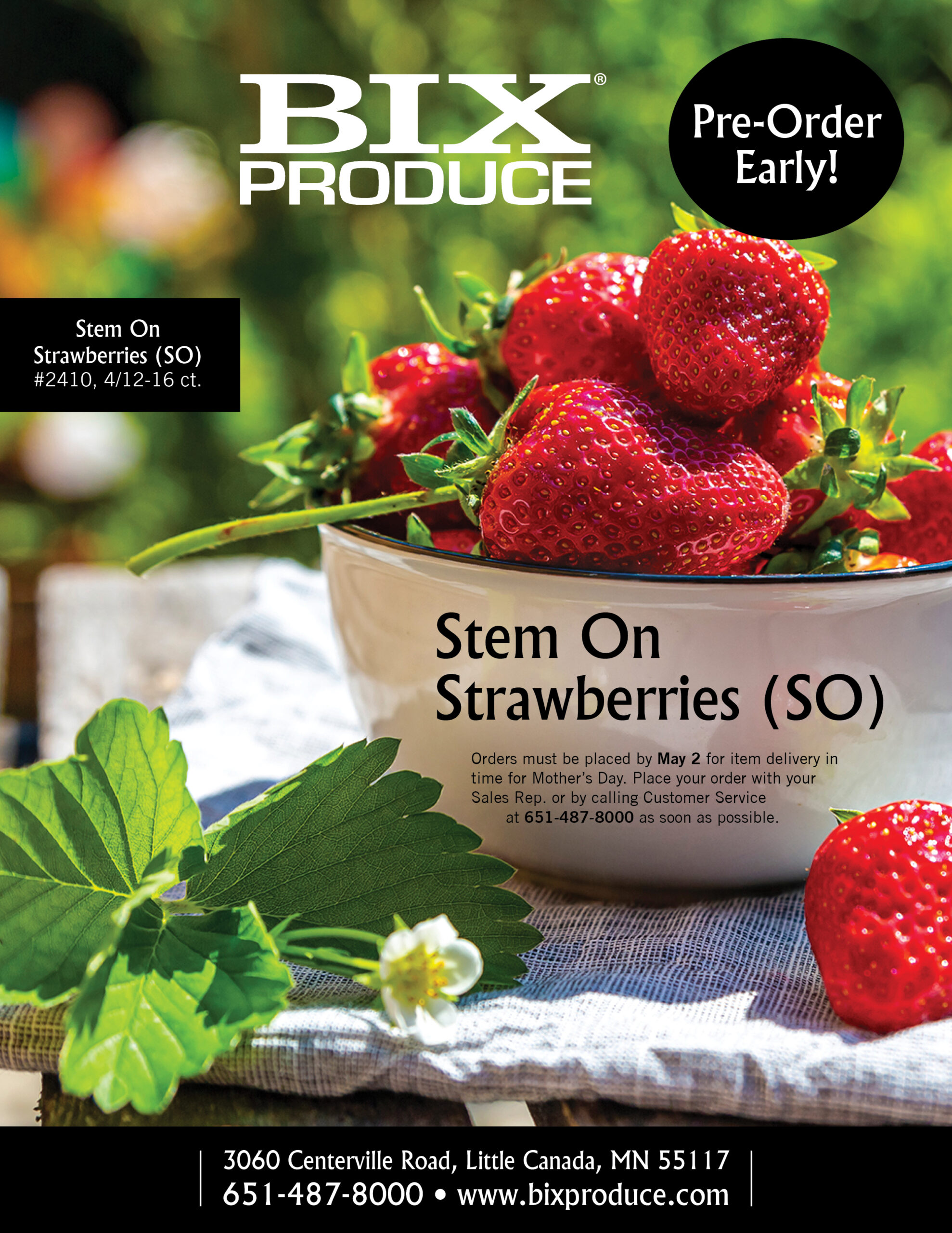 BIXMother's Day 2023 Stem Ons BIX